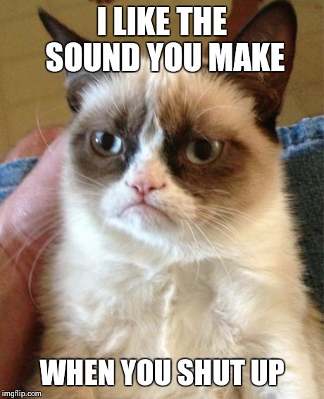 Grumpy Cat | I LIKE THE SOUND YOU MAKE WHEN YOU SHUT UP | image tagged in memes,grumpy cat | made w/ Imgflip meme maker