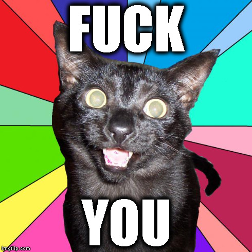 Hey You! Cat Byron | F**K YOU | image tagged in hey you cat byron | made w/ Imgflip meme maker