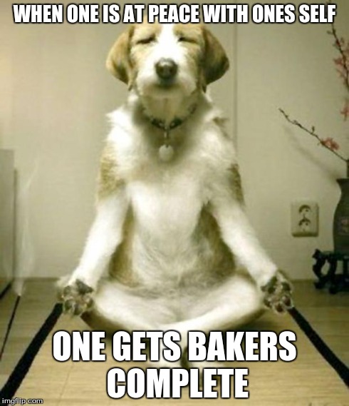 meditating dog  | WHEN ONE IS AT PEACE WITH ONES SELF ONE GETS BAKERS COMPLETE | image tagged in meditating dog,dogs,imgflip | made w/ Imgflip meme maker