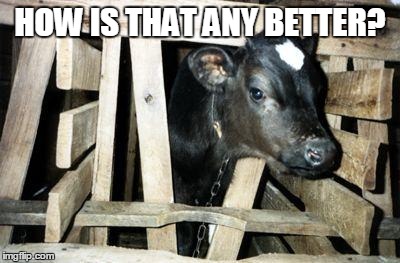 Calf Doomed For Slaughter | HOW IS THAT ANY BETTER? | image tagged in calf doomed for slaughter | made w/ Imgflip meme maker