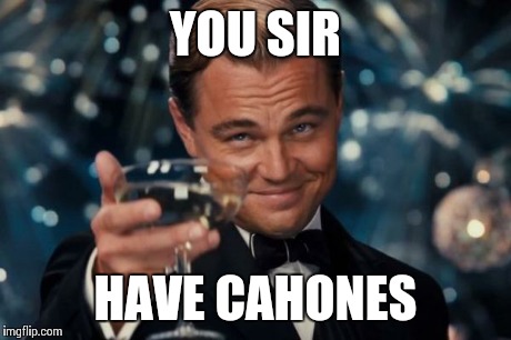 Leonardo Dicaprio Cheers Meme | YOU SIR HAVE CAHONES | image tagged in memes,leonardo dicaprio cheers | made w/ Imgflip meme maker