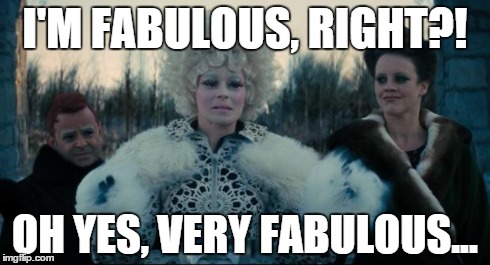 I'M FABULOUS, RIGHT?! OH YES, VERY FABULOUS... | image tagged in hunger games meme | made w/ Imgflip meme maker
