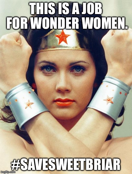 wonder woman | THIS IS A JOB FOR WONDER WOMEN. #SAVESWEETBRIAR | image tagged in wonder woman | made w/ Imgflip meme maker