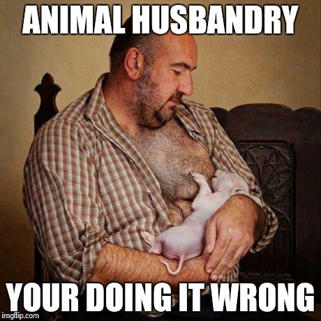 Freaky farmer | ANIMAL HUSBANDRY YOUR DOING IT WRONG | image tagged in memes,other | made w/ Imgflip meme maker