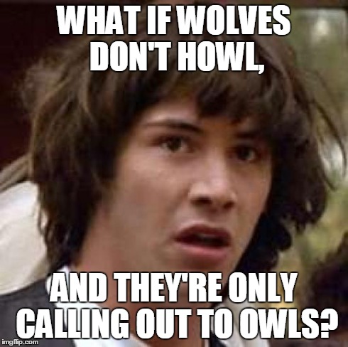 Conspiracy Keanu | WHAT IF WOLVES DON'T HOWL, AND THEY'RE ONLY CALLING OUT TO OWLS? | image tagged in memes,conspiracy keanu | made w/ Imgflip meme maker
