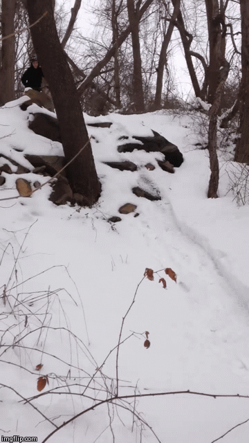 image tagged in gifs | made w/ Imgflip video-to-gif maker