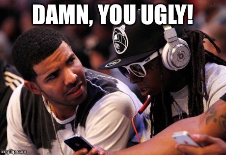 Drake, Lil Wayne | DAMN, YOU UGLY! | image tagged in drake lil wayne | made w/ Imgflip meme maker