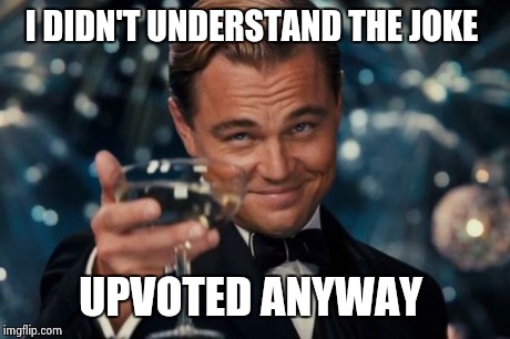 Leonardo Dicaprio Cheers Meme | I DIDN'T UNDERSTAND THE JOKE UPVOTED ANYWAY | image tagged in memes,leonardo dicaprio cheers | made w/ Imgflip meme maker