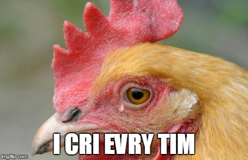 Sad Chicken | I CRI EVRY TIM | image tagged in sad chicken | made w/ Imgflip meme maker