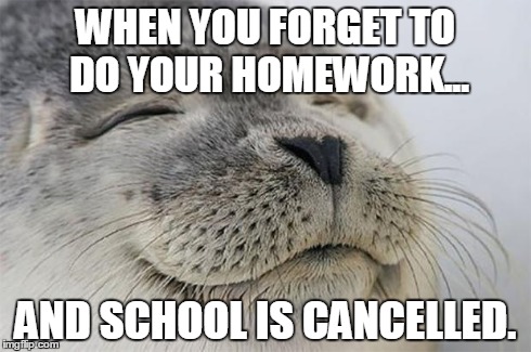 Satisfied Seal | WHEN YOU FORGET TO DO YOUR HOMEWORK... AND SCHOOL IS CANCELLED. | image tagged in memes,satisfied seal | made w/ Imgflip meme maker