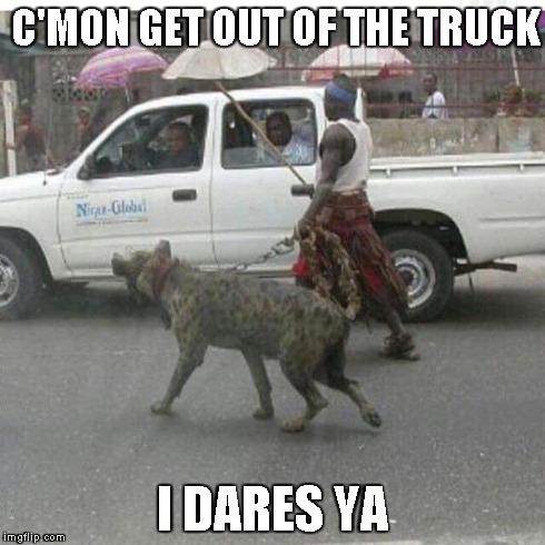 Thug Life Hyena Style | C'MON GET OUT OF THE TRUCK I DARES YA | image tagged in thug,hyena,funny | made w/ Imgflip meme maker