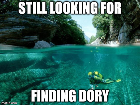 Still looking for finding dory | STILL LOOKING FOR FINDING DORY | image tagged in still looking for finding dory,finding nemo,meme,underwater,nostalgia | made w/ Imgflip meme maker