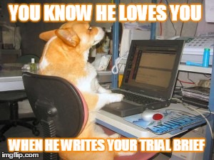 Love | YOU KNOW HE LOVES YOU WHEN HE WRITES YOUR TRIAL BRIEF | image tagged in dog,corgi,cheating,funny memes,college humor,homework | made w/ Imgflip meme maker