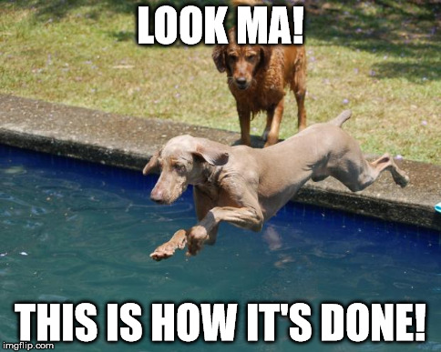 LOOK MA! THIS IS HOW IT'S DONE! | image tagged in dive | made w/ Imgflip meme maker