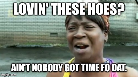 Ain't Nobody Got Time For That Meme | LOVIN' THESE HOES? AIN'T NOBODY GOT TIME FO DAT. | image tagged in memes,aint nobody got time for that | made w/ Imgflip meme maker