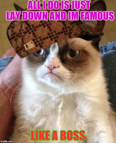 Grumpy Cat | ALL I DO IS JUST LAY DOWN AND IM FAMOUS LIKE A BOSS | image tagged in memes,grumpy cat,scumbag | made w/ Imgflip meme maker