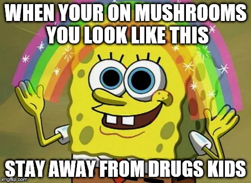 Imagination Spongebob Meme | WHEN YOUR ON MUSHROOMS YOU LOOK LIKE THIS STAY AWAY FROM DRUGS KIDS | image tagged in memes,imagination spongebob | made w/ Imgflip meme maker