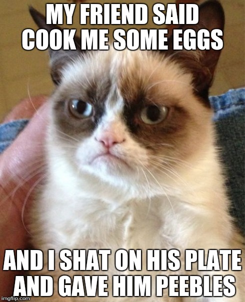 Grumpy Cat | MY FRIEND SAID COOK ME SOME EGGS AND I SHAT ON HIS PLATE AND GAVE HIM PEEBLES | image tagged in memes,grumpy cat | made w/ Imgflip meme maker