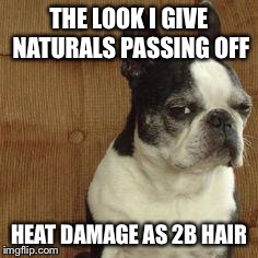 sideeye dog | THE LOOK I GIVE NATURALS PASSING OFF HEAT DAMAGE AS 2B HAIR | image tagged in sideeye dog | made w/ Imgflip meme maker
