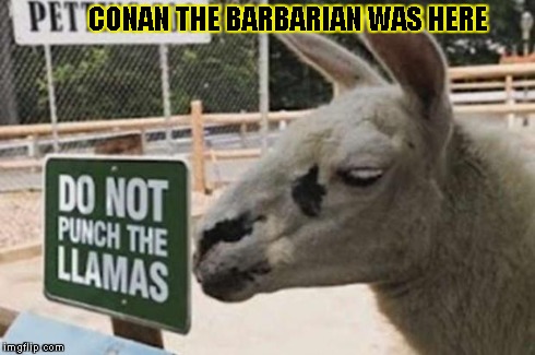 CONAN THE BARBARIAN WAS HERE | image tagged in dont punch | made w/ Imgflip meme maker