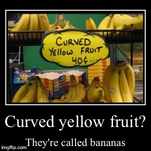 image tagged in funny,demotivationals | made w/ Imgflip demotivational maker