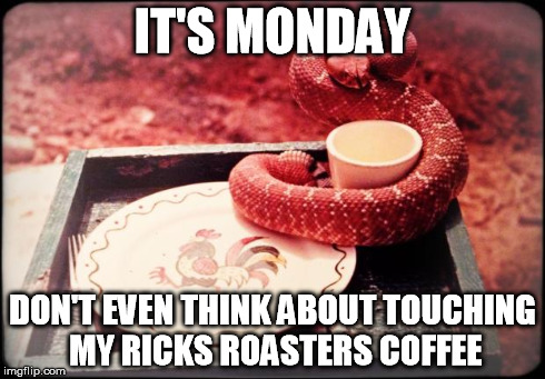 Rattlesnake Coffee | IT'S MONDAY DON'T EVEN THINK ABOUT TOUCHING MY RICKS ROASTERS COFFEE | image tagged in rattlesnake coffee | made w/ Imgflip meme maker