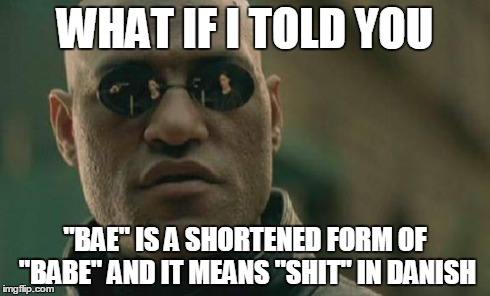 Matrix Morpheus Meme | WHAT IF I TOLD YOU "BAE" IS A SHORTENED FORM OF "BABE" AND IT MEANS "SHIT" IN DANISH | image tagged in memes,matrix morpheus | made w/ Imgflip meme maker