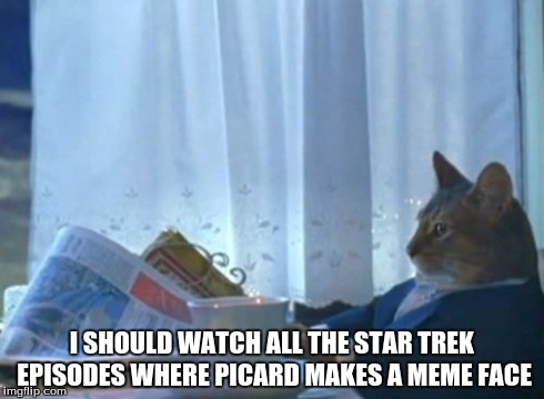 I Should Buy A Boat Cat | I SHOULD WATCH ALL THE STAR TREK EPISODES WHERE PICARD MAKES A MEME FACE | image tagged in memes,i should buy a boat cat | made w/ Imgflip meme maker