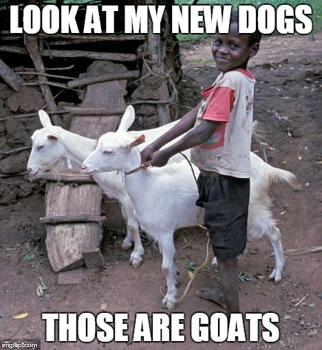 Smug African Goat Boy | LOOK AT MY NEW DOGS THOSE ARE GOATS | image tagged in smug african goat boy | made w/ Imgflip meme maker