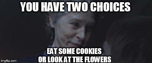 Carol threat | YOU HAVE TWO CHOICES EAT SOME COOKIES OR LOOK AT THE FLOWERS | image tagged in carol threat | made w/ Imgflip meme maker