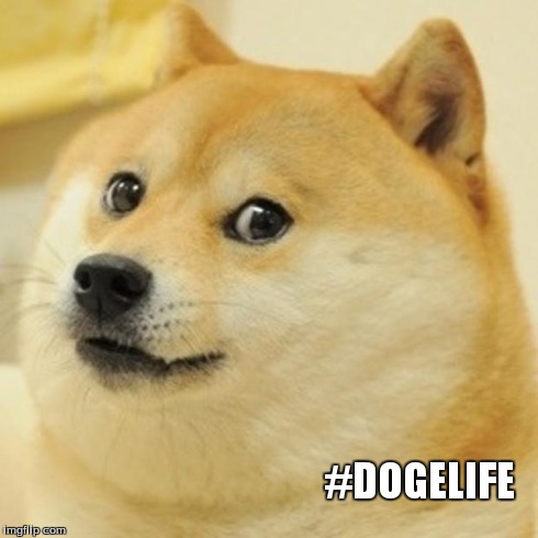 Doge | #DOGELIFE | image tagged in memes,doge | made w/ Imgflip meme maker