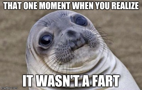 Awkward Moment Sealion | THAT ONE MOMENT WHEN YOU REALIZE IT WASN'T A FART | image tagged in memes,awkward moment sealion | made w/ Imgflip meme maker