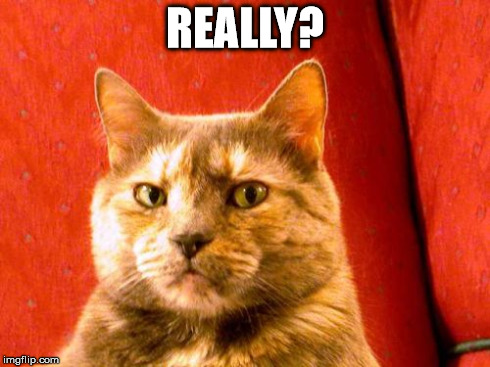Suspicious Cat | REALLY? | image tagged in memes,suspicious cat | made w/ Imgflip meme maker