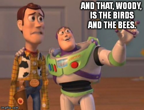 Woody just received "the talk". :| | AND THAT, WOODY, IS THE BIRDS AND THE BEES. | image tagged in memes,x x everywhere,awkward | made w/ Imgflip meme maker