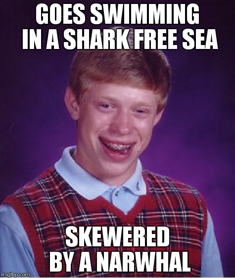 Bad Luck Brian | GOES SWIMMING IN A SHARK FREE SEA SKEWERED BY A NARWHAL | image tagged in memes,bad luck brian | made w/ Imgflip meme maker