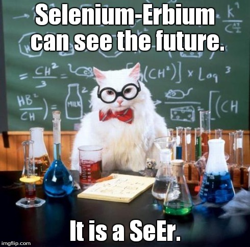 Chemistry Cat Meme | Selenium-Erbium can see the future. It is a SeEr. | image tagged in memes,chemistry cat | made w/ Imgflip meme maker
