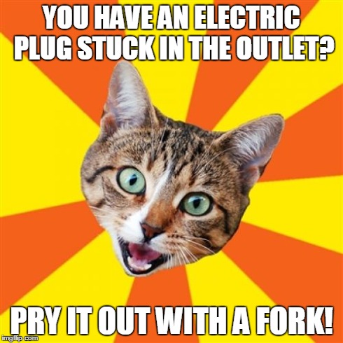 Bad Advice Cat Meme | YOU HAVE AN ELECTRIC PLUG STUCK IN THE OUTLET? PRY IT OUT WITH A FORK! | image tagged in memes,bad advice cat | made w/ Imgflip meme maker