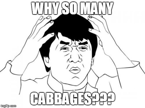 Jackie Chan WTF Meme | WHY SO MANY CABBAGES??? | image tagged in memes,jackie chan wtf | made w/ Imgflip meme maker