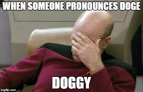 Captain Picard Facepalm | WHEN SOMEONE PRONOUNCES DOGE DOGGY | image tagged in memes,captain picard facepalm | made w/ Imgflip meme maker