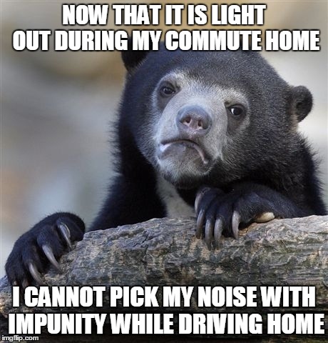 Confession Bear | NOW THAT IT IS LIGHT OUT DURING MY COMMUTE HOME I CANNOT PICK MY NOISE WITH IMPUNITY WHILE DRIVING HOME | image tagged in memes,confession bear | made w/ Imgflip meme maker