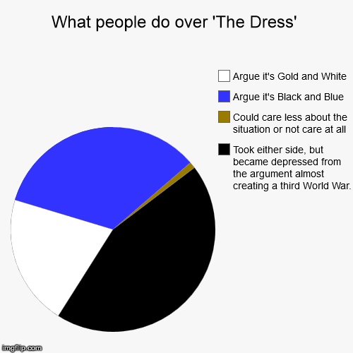What people do over 'The Dress' | image tagged in pie charts,the dress | made w/ Imgflip chart maker