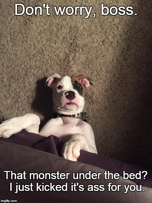 Monsters Licked | Don't worry, boss. That monster under the bed? I just kicked it's ass for you. | image tagged in dogs,funny,memes,boxers | made w/ Imgflip meme maker