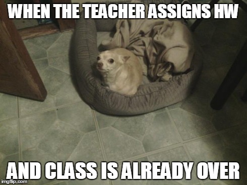 WHEN THE TEACHER ASSIGNS HW AND CLASS IS ALREADY OVER | image tagged in whiskey the dog | made w/ Imgflip meme maker