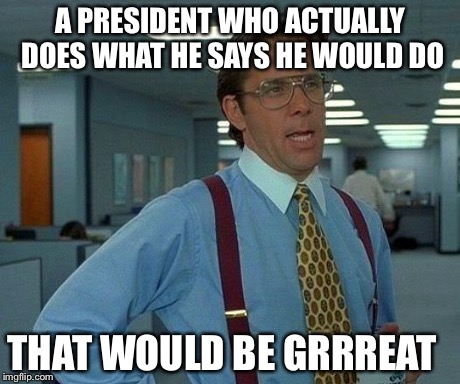 That Would Be Great Meme | A PRESIDENT WHO ACTUALLY DOES WHAT HE SAYS HE WOULD DO THAT WOULD BE GRRREAT | image tagged in memes,that would be great | made w/ Imgflip meme maker