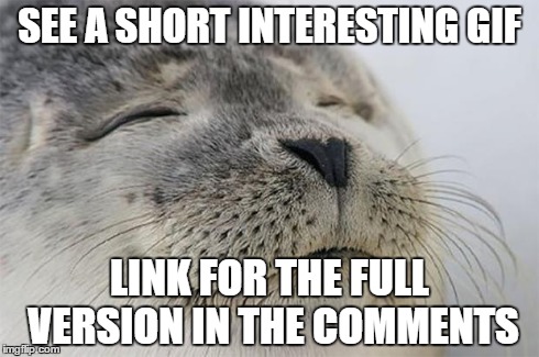 Satisfied Seal Meme | SEE A SHORT INTERESTING GIF LINK FOR THE FULL VERSION IN THE COMMENTS | image tagged in memes,satisfied seal,AdviceAnimals | made w/ Imgflip meme maker