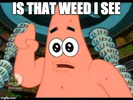 Patrick Says Meme | IS THAT WEED I SEE | image tagged in memes,patrick says | made w/ Imgflip meme maker