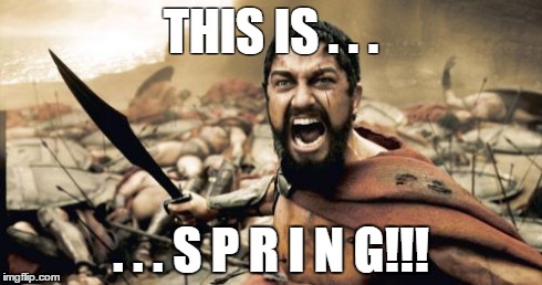 Sparta Leonidas Meme | THIS IS . . . . . . S P R I N G!!! | image tagged in memes,sparta leonidas | made w/ Imgflip meme maker