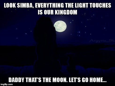 Took too long | image tagged in lion king,simba shadowy place,everything the light touches,daddy that's the mooon,look son | made w/ Imgflip meme maker