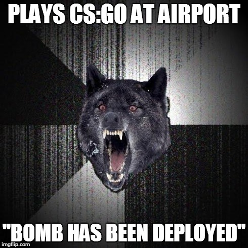 Insanity Wolf Meme | PLAYS CS:GO AT AIRPORT "BOMB HAS BEEN DEPLOYED" | image tagged in memes,insanity wolf | made w/ Imgflip meme maker