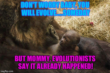  But Mom | DON'T WORRY BABY, YOU WILL EVOLVE.....SOMEDAY BUT MOMMY, EVOLUTIONISTS SAY IT ALREADY HAPPENED! | image tagged in evolution,creationism | made w/ Imgflip meme maker